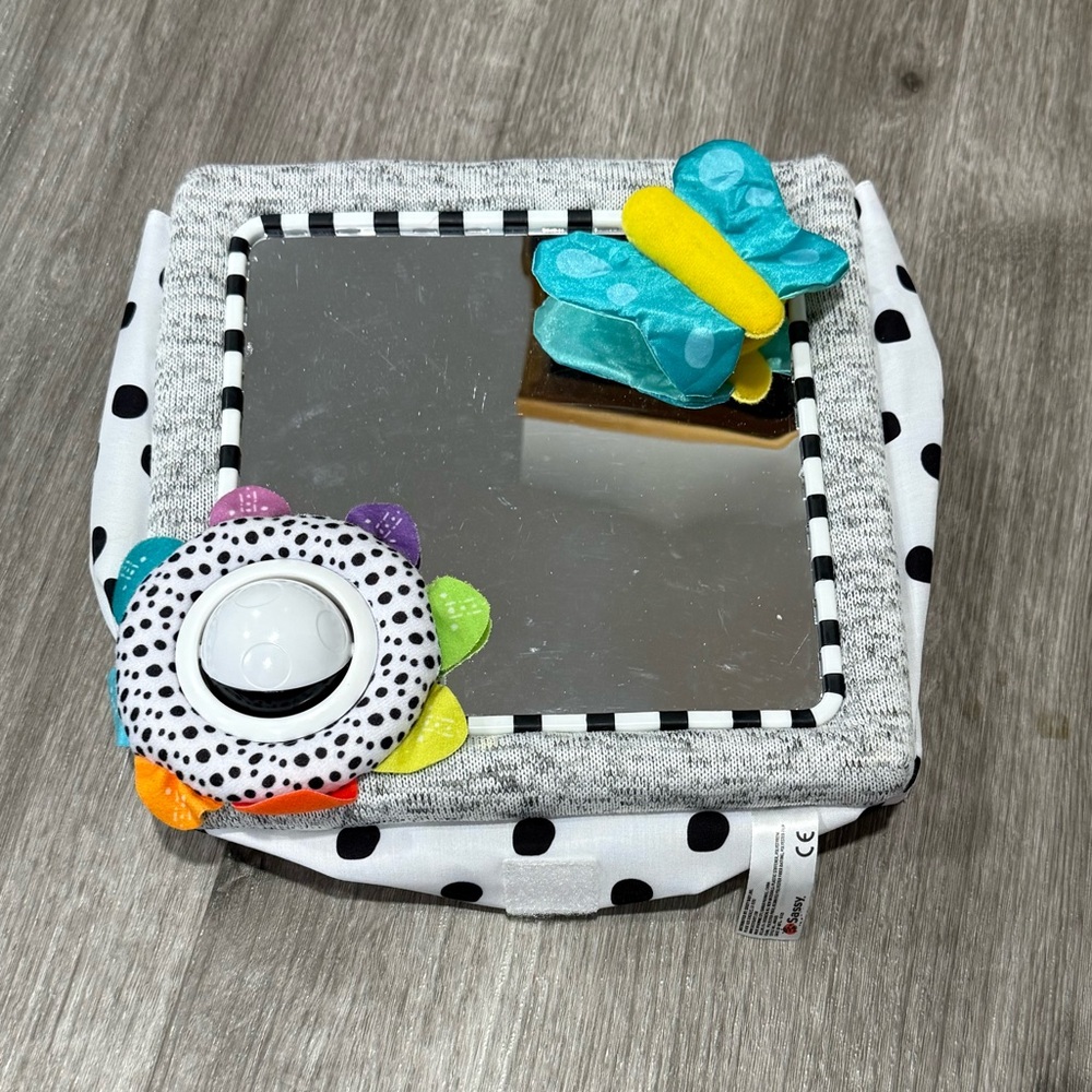Teal Butterfly Baby Mirror with Multicolor Flower